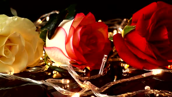 Roses on a Black Background 3