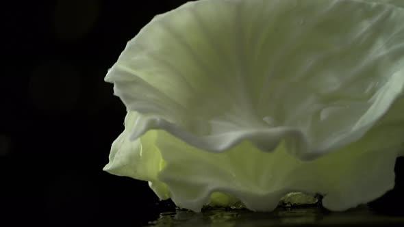 Broccoli falling on water surface. Slow Motion.