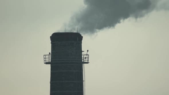 Smoke Comes From the Chimney. Air Pollution. Slow Motion. Ecology. Kyiv. Ukraine