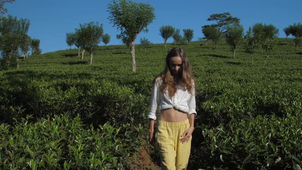 Girl Walks Along Tea Plantation Under Blue Sky Slow Motion