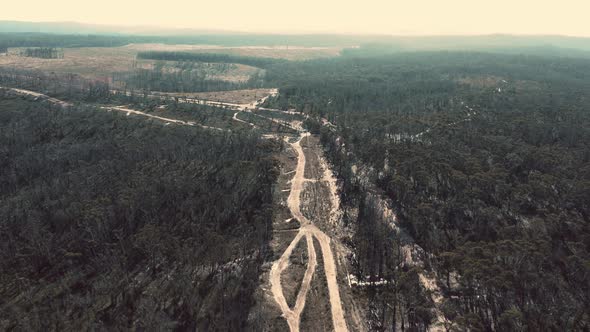 Drone aerial footage of dirt tracks in a forest affected by bushfire in Australia