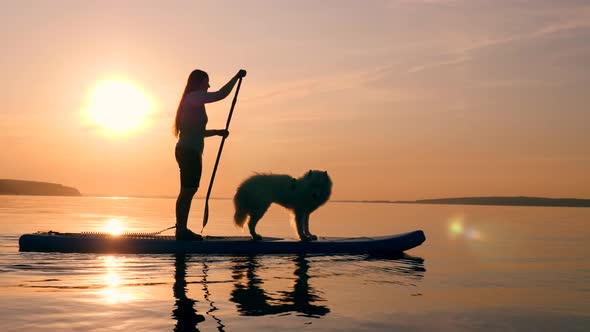 A Woman Is Doing Stand-up Paddleboarding with a Dog