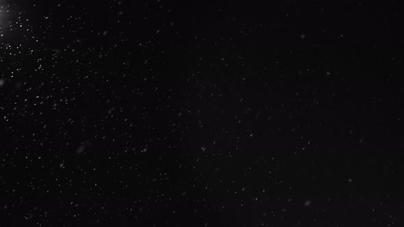 Snow Falling Over Black Background or Night Sky