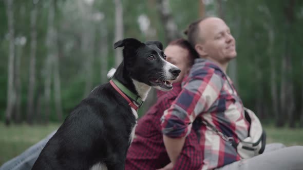 Happy Dog in Forest with Blurred Caucasian Couple Sitting Back To Back at the Background and Smiling