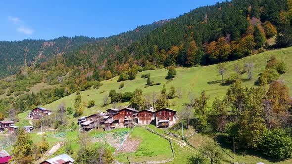 Houses in Green Nature