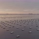 Oyster Farm in a Misty Day - VideoHive Item for Sale