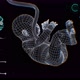 medical Interface, unborn child in the womb 3D render - VideoHive Item for Sale