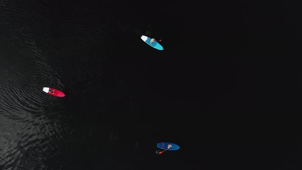 Top View of the Lake Where a Family Swims on Sup Boards at Sunset