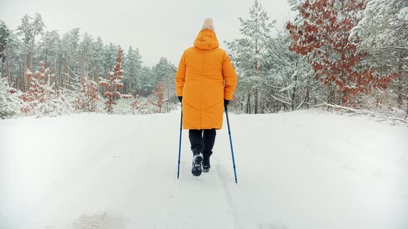 Elderly Woman Practicing Nordic Walking In Forest. Sticks Walking On Winter Wood. Nordic Walking.