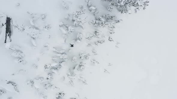 Snowboard Shot Riding Downhill Slope Between Trees Aerial Drone Top Down Angle