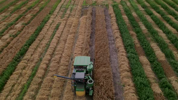 Slow Motion Aerial Shot of Modern Small Harvester Machine is Operating in the Field on Breeding