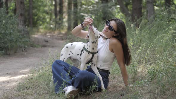 A Dog Dalmatian and Girl