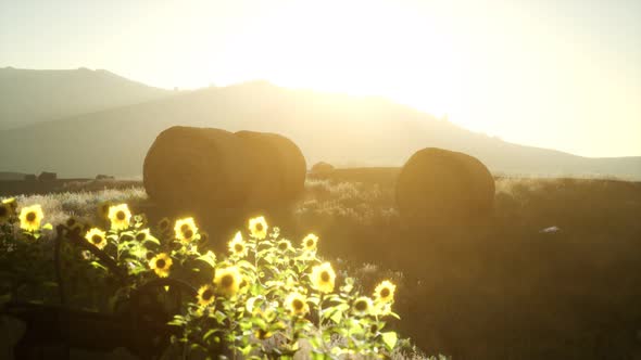 Hay Bales in the Sunset