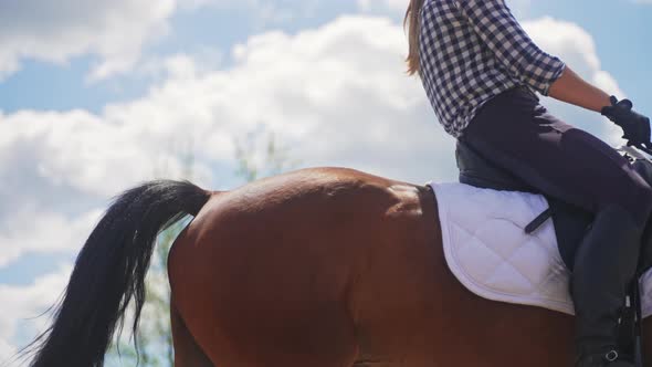 Jockey Riding On Her Dark Bay Horse In The Sandy Parkour Horse Wearing Stockings