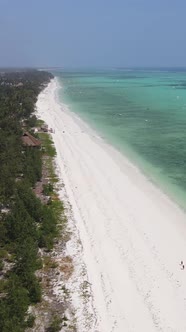 Vertical Video of the Ocean Near the Coast of Zanzibar Tanzania