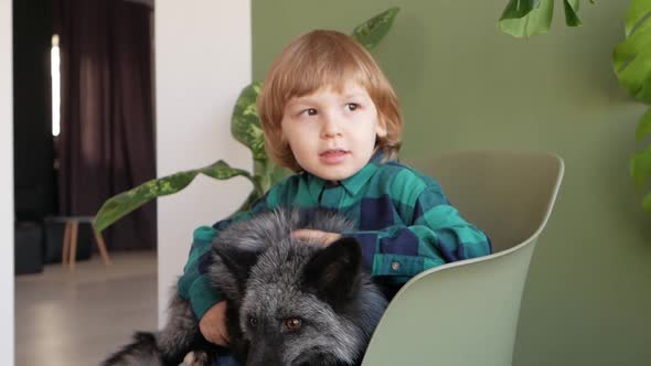 Child and His Pet Fox Portrait
