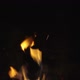 Camp Fire - VideoHive Item for Sale