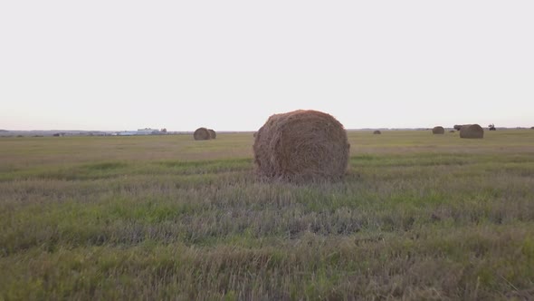 Rural Field in Summer with Bales of Hay