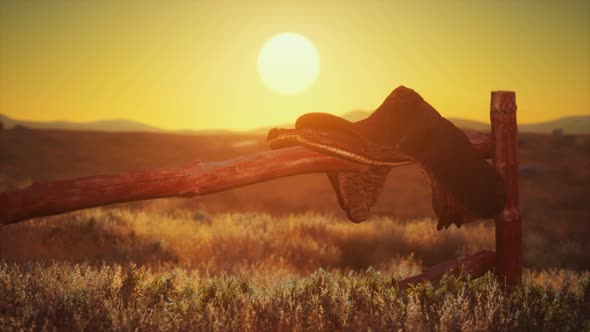 Old Saddle As the Sunset in the Country