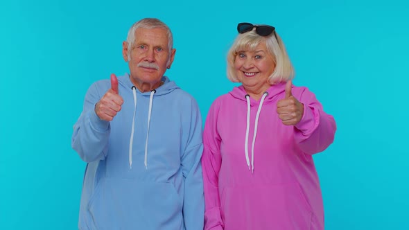 Senior Stylish Grandparents Pensioners Looking Approvingly at Camera Showing Thumbs Up Like Sign