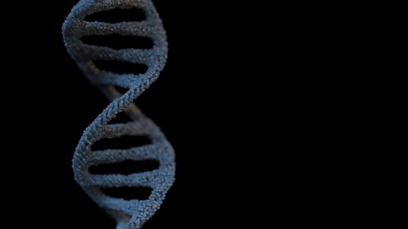 DNA Strand Double Helix Looped Animation alt