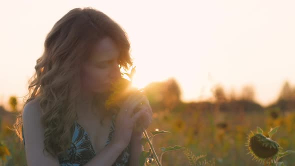 Portrait of a Young Attractive Woman with Red Hair and a Blue Dress in a Field of Sunflowers at