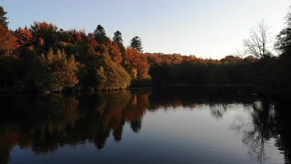 Aerial view of beautiful lake with seabirds and trees with autumn colours in Sealand, Denmark