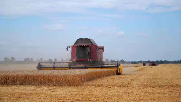 Agriculture process in field. Wheat field and red combine. Harvesting process.