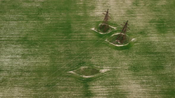 Aerial View on Green Wheat Field in Countryside