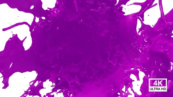 Purple Paint Splash Explosion 4 K