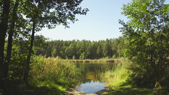 Summer Lake, a static frame for the backdrop