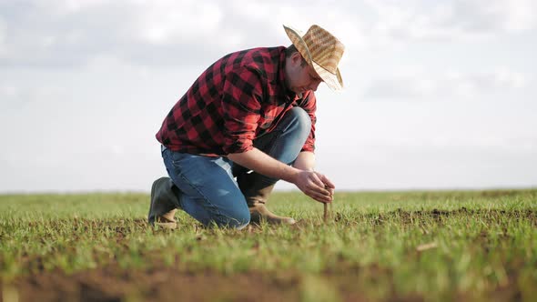 Soil and Agriculture