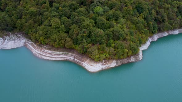 Dam Forested Shoreline