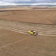 Wheat  Field Aerial View Of Combine Harvester Harvesting Wheat - VideoHive Item for Sale