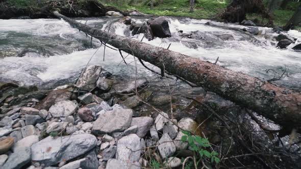 Mountain River with Rocks in Wood Slow Motion Footage Dolomites South Tyrol Italy