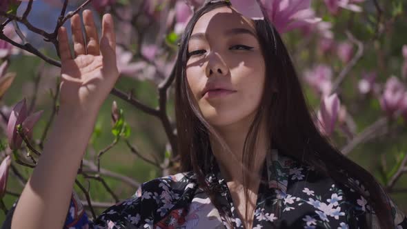 Portrait of Selfassured Asian Young Woman in Kimono Posing at Blooming Sakura Tree with Pink Flowers