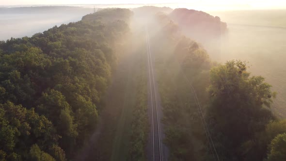 Single-track railway in the woods. Morning fog over the forest and the railway.