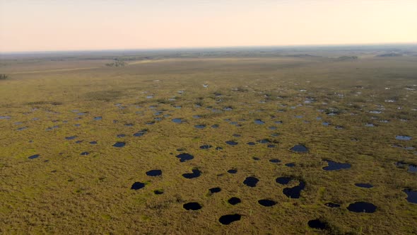 Aerial Flight Over the Beautiful Ancient Swamp in Eastern Europe