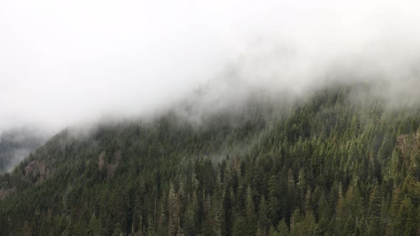 Mountain Forest Fog Time Lapse Rich Nature Colors Green White