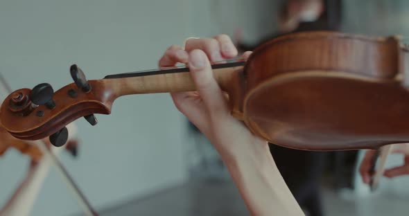 Close View of Musicians Playing the Violins on Blurred Background of Dancers