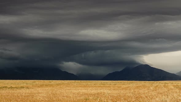 Hurricane over wheat fields