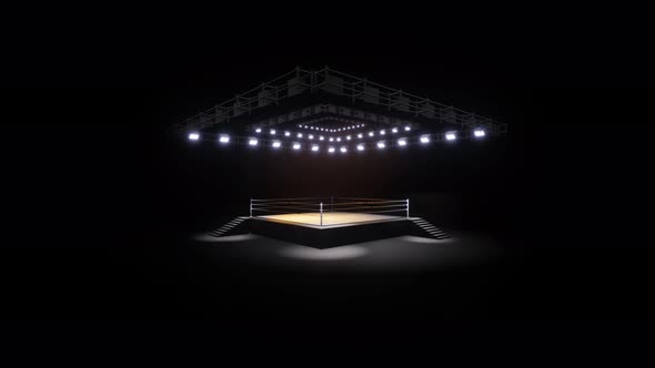 Sports Wrestling And Boxing. Sport 4K Professional Background Animation