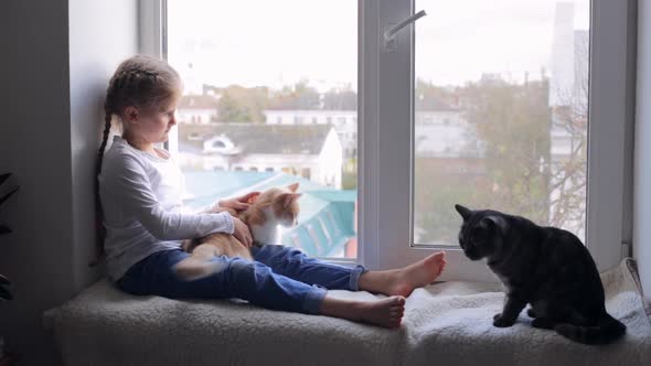 A Little Girl Sits on the Windowsill with Two Cats and Looks Out the Window