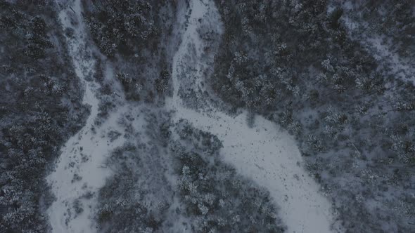 Grown in ski trails and defunct lift near the top of a snow crusted mountain AERIAL TILT UP