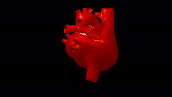 Heart 3D Animation - Beating Loop FullHD