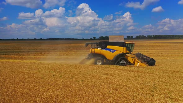 Yellow bulldozer harvesting in field. Aerial drone shot of yellow combine harvesting crop