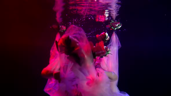 a Woman with Long Hair Spreads Her Hands with a Translucent Cloth and Emerges From Under It in the