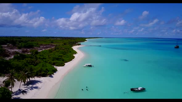 Aerial scenery of beautiful island beach wildlife by aqua blue lagoon with white sandy background of