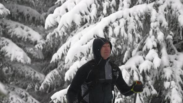 Man Ski Touring In Snow Covered Forest