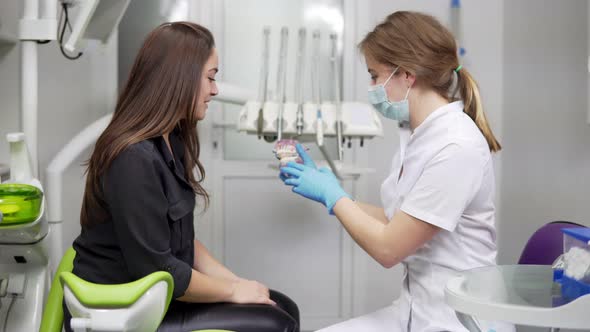 Doctor is Holding in Hands a Dental Model Closeup